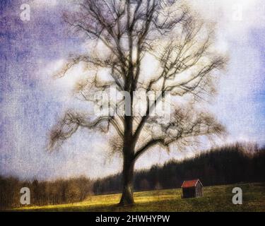 ART CONTEMPORAIN : l'Oaktree (scène sous le Kalvarienberg à Bad Toelz, Oberbayern, Allemagne) Banque D'Images