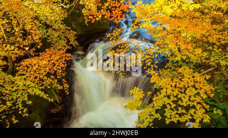 Scène de sérénité de la cascade de Ryuzu dans la saison d'automne de feuilles colorées, Nikko Japon Banque D'Images