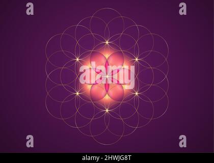 Symbole de la graine de vie géométrie sacrée. Logo or icône Mandala mystique géométrique de la fleur de vie rose ésotérique alchimie. Signe de cercles entrelacés Illustration de Vecteur