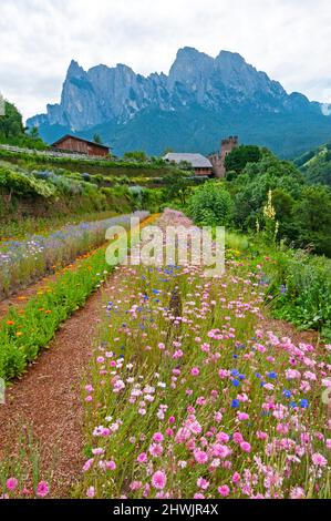 Vue de Pflegerhof Herb et jardin de fleurs à la Schlern, près de Siusi, Italie Banque D'Images