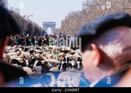 Paris, France. 06th mars 2022. Pour célébrer la fin du salon agricole de Paris, une transhumance avec 2000 moutons a été organisée sur les champs Elysées à Paris, France, le 6 mars 2022. Photo de Christophe Michel/ABACAPRESS.COM crédit: Abaca Press/Alay Live News Banque D'Images