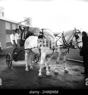 Freddie Trueman avec casque et lance saxons exhortant les chevaux et le char à partir. Freddie s'est rendu au nouvel hôtel Saxon Motor, Ainley Top, Huddersfield, pour participer à la cérémonie d'ouverture du pub. Janvier 1972 72-00100-001 Banque D'Images