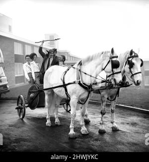 Freddie Trueman avec casque et lance saxons exhortant les chevaux et le char à partir. Freddie s'est rendu au nouvel hôtel Saxon Motor, Ainley Top, Huddersfield, pour participer à la cérémonie d'ouverture du pub. Janvier 1972 72-00100 Banque D'Images