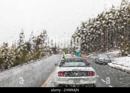 Arrêt de la circulation le long de la route du parc dans le parc national de Yellowstone, Wyoming, États-Unis [aucune autorisation de propriété ; licence éditoriale uniquement] Banque D'Images