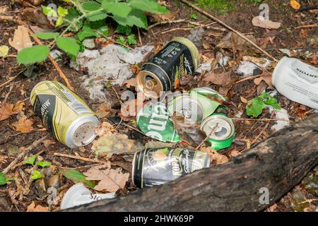 Port de Burry, pays de Galles, Royaume-Uni, 21 août 2021 : boîtes de bière et de cidre en étain laissées comme déchets de déchets insouciants qui polluent le lo Banque D'Images