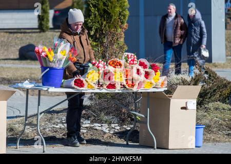 MINSK, BÉLARUS - 05 MARS 2022 : une femme vend des fleurs (tulipes) dans la rue. La journée internationale de la femme est le 8 mars. Banque D'Images