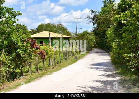 Une jolie maison verte à côté d'une route dans le village de Crooked Tree, Belize. Banque D'Images