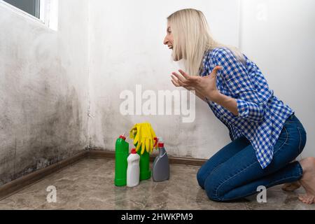 Jeune femme blonde choquée dans un Jean bleu et une chemise est squatting avec des nettoyants près d'un mur avec la moisissure noire et crier. Concept de nettoyage Banque D'Images