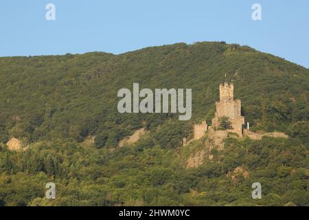 Château de Burg Sooneck am Rhein dans la vallée du Rhin moyen, Rhénanie-Palatinat, Allemagne Banque D'Images