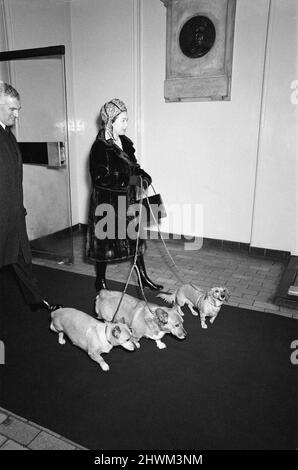 La famille royale à Noël et le nouvel an. La photo montre la reine Elizabeth II arrivant avec ses chiens Corgi à la gare de Liverpool Street. Elle et d'autres membres de la famille royale prendront le train royal en direction de Sandringham à Norfolk, où ils passent leur nouvel an. Photo prise le 28th décembre 1972 Banque D'Images