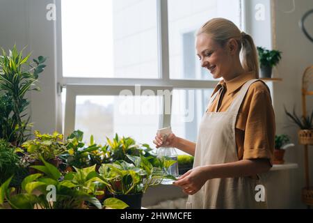 Vue latérale de la jeune femme souriante fleuriste en tablier vaporisant de l'eau sur les plantes de maison dans la cuve à fleurs par pulvérisateur. Banque D'Images