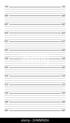 Arrière-plan de la police. Tableau de hauteur pour la photo de la personne arrêtée ou l'identification du suspect isolée sur fond blanc. Illustration vectorielle. Illustration de Vecteur