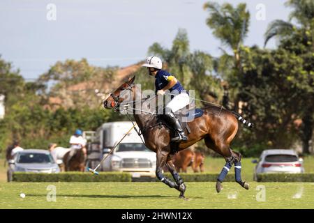 Wellington, Floride, États-Unis. 6th mars 2022. 4 M Larpida Tamera pendant le but 22 USPA Gold Cup à l'International Polo Club Palm Beach. Credit: Yaroslav Sabitov/YES Market Media/Alay Live News Banque D'Images