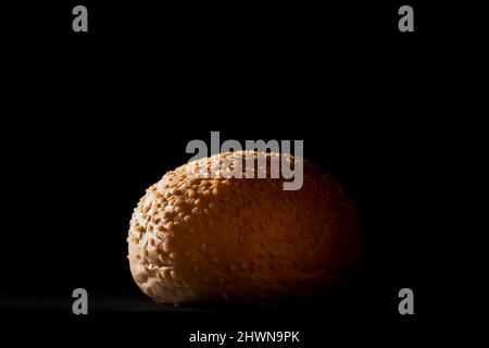 hamburger avec graines de sésame sur fond noir. Banque D'Images
