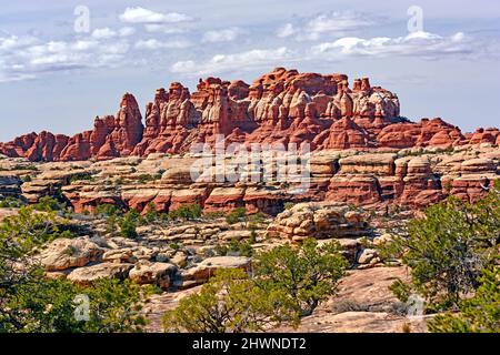 Spires en brouille dans le sud-ouest du désert, dans le parc national de Canyonlands, dans l'Utah Banque D'Images