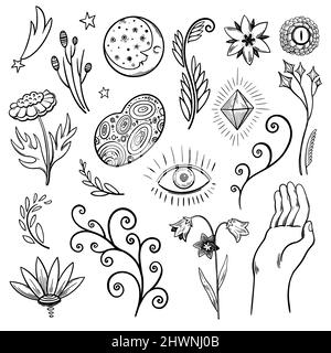 Contour noir nature et éléments magiques isolés sur fond blanc, fleurs et espace clip art pour le design, tatouage et décor. Illustration de Vecteur