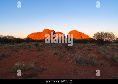 YULARA, AUSTRALIE - 6 2021 JUIN : vue en grand angle au coucher du soleil sur les dômes de Kata tjuta dans le parc national d'uluru-Kata tjuta Banque D'Images