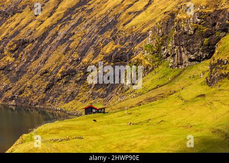 Magnifique paysage de printemps. Vue ensoleillée sur le village de Saksun avec des maisons typiques à gazon, îles Féroé. Splendide scène de l'île de Streymoy, Danemark, Banque D'Images