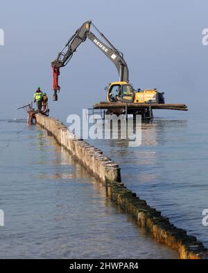 Wustrow, Allemagne. 02nd mars 2022. Dans la mer Baltique, au large de Wustrow, sur la péninsule de Fischland, de vieux groynes sont remplacés. Ils ont été détruits par le navire borer (Teredo navalis). Le remplacement des 21 groynes coûtera 1,9 millions d'euros et durera de septembre 2021 à mai 2022. Les nouveaux groynes sont construits seward(off) à partir de bois tropical certifié qui peut résister à la mer de navire. Credit: Bernd Wüstneck/dpa-Zentralbild/ZB/dpa/Alay Live News Banque D'Images