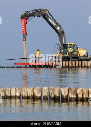 Wustrow, Allemagne. 02nd mars 2022. Détruit par le boreur du navire (Teredo navalis) sont de vieilles rondins de groyne stockés derrière la digue de la station Baltique de Wustrow. Le remplacement des 21 groynes coûte 1,9 millions d'euros et durera de septembre 2021 à mai 2022. Les nouveaux groynes doivent être construits (côté mer) à partir de bois tropical certifié qui peut résister à l'embarquer. Credit: Bernd Wüstneck/dpa-Zentralbild/ZB/dpa/Alay Live News Banque D'Images