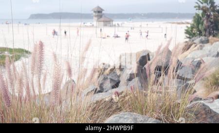Personnes jouant au volley-ball sur la plage de sable de l'océan, côte de Californie, États-Unis. Stand de sauveteurs, cabane de la tour de sauveteurs pour la sécurité du surf. Plage de Coronado, San Diego. Station de sauvetage, sauvetage wachtower House. Banque D'Images