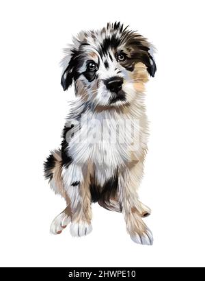 Chien de berger australien assis à des peintures multicolores. Mise en plan colorée. Illustration vectorielle des peintures Illustration de Vecteur