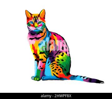 Chat bengale abstrait de peintures multicolores. Mise en plan colorée. Illustration vectorielle des peintures Illustration de Vecteur