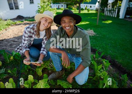 Agriculteurs mixtes de race masculine et féminine travaillant dans la zone végétale Banque D'Images