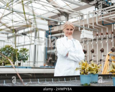 Biologiste à la main sur le menton analysant les plantes en serre Banque D'Images