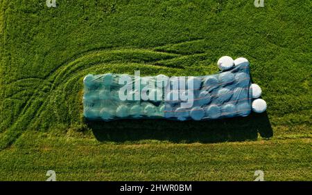 Balles de foin recouvertes de plastique sur le terrain Banque D'Images