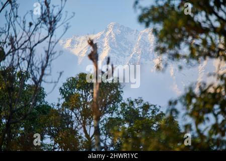 Vue rapprochée des puissantes montagnes de l'Himalaya, vue depuis le Sidhpur dans l'Himachal Pradesh, en Inde Banque D'Images