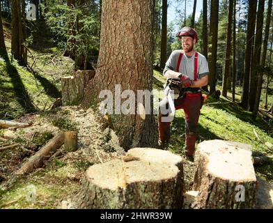 Forestier souriant avec scie à main regardant l'arbre dans la forêt Banque D'Images