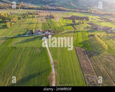 Italie, Ombrie, Gubbio, Drone vue sur les champs verdoyants au printemps Banque D'Images