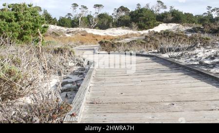 Sentier de promenade en bois, dunes de sable côtières à Monterey, 17 km de route nature, Californie États-Unis. Sentier, passerelle ou espace pieds depuis les planches pour le trekking en pleine nature. Itinéraire touristique, randonnée et écotourisme. Banque D'Images