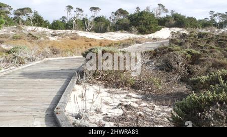 Sentier de promenade en bois, dunes de sable côtières à Monterey, 17 km de route nature, Californie États-Unis. Sentier, passerelle ou espace pieds depuis les planches pour le trekking en pleine nature. Itinéraire touristique, randonnée et écotourisme. Banque D'Images