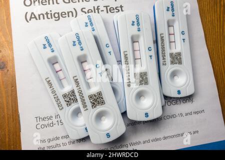 Plusieurs kits de test positif Covid-19 authentiques utilisant le kit de test de flux latéral Orient Gene à Londres, Royaume-Uni. Banque D'Images