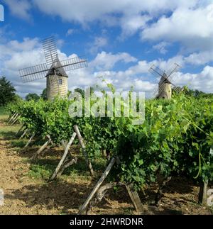 Moulins à vent de Calon au milieu d'un vignoble au-dessous d'un ciel bleu, montagne, près de Saint-Emilion, Nouvelle-Aquitaine, France, Europe Banque D'Images