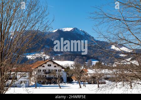 Arbres dans Ruhpolding enneigé, Bavière, Allemagne en face du panorama de montagne Banque D'Images