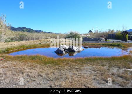 Vieux Geyser fidèle dans la vallée de Napa, en Californie. Banque D'Images