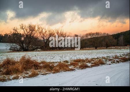 Coucher de soleil d'hiver dans les paysages ruraux des hautes terres, prairie, champ, arbre et forêt sous ciel sombre avant la tempête. République tchèque, près du village de Kamenna. Banque D'Images