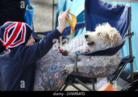 Londres, Royaume-Uni. 17th févr. 2022. Un garçon joue avec un chien au camp.le camp de convoi de la liberté s'est installé de façon permanente sur l'Embankment après que le convoi de la liberté est arrivé à Londres en février 2022. Ils soutiennent les gens qui combattent les gouvernements autoritaires qui vivent sous des lois perfieuses sur le coronavirus au Canada, en Autriche et en Australie. Ils luttent également contre la vaccination des enfants au Royaume-Uni. Jusqu'à ce que les gouvernements retournent toutes les libertés prises de la population au cours des deux dernières années, ils ont l'intention de rester mis. Crédit : SOPA Images Limited/Alamy Live News Banque D'Images