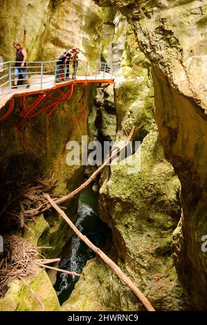 HAUTE-SAVOIE, FRANCE - 23 AOÛT 2015 : les touristes admirent les magnifiques Gorges du fier, canyon de la rivière près du lac d'Annecy. Banque D'Images