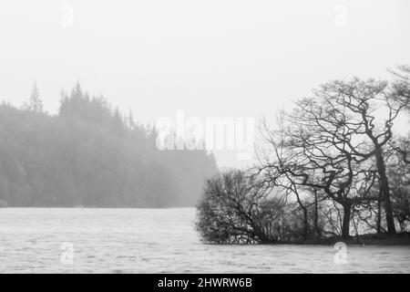 Vue monochrome sur les rives boisées d'un lac Misty Windrmere, Angleterre Banque D'Images