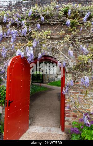 Belle vieille porte dans un mur de jardin couvert de wisteria: Arundel Castle Gardens, West Sussex, Royaume-Uni Banque D'Images