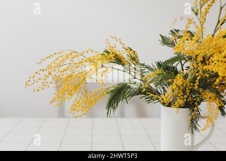 Composition des fleurs de printemps. Fleurs de mimosa jaunes sur fond blanc à l'intérieur de la maison. Banque D'Images