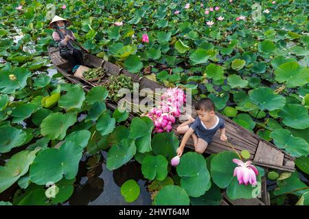 Vue de dessus de garçon vietnamien jouant avec maman sur le bateau traditionnel en bois quand le rembourrage pour garder le Lotus rose dans le grand lac à thap muoi, dong t Banque D'Images