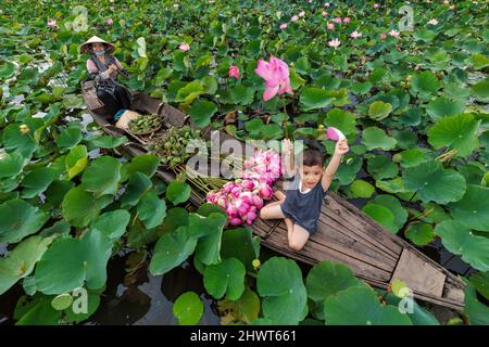 Vue de dessus de garçon vietnamien jouant avec maman sur le bateau traditionnel en bois quand le rembourrage pour garder le Lotus rose dans le grand lac à thap muoi, dong t Banque D'Images