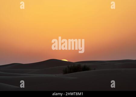 Coucher de soleil dans le désert de Dubaï Banque D'Images
