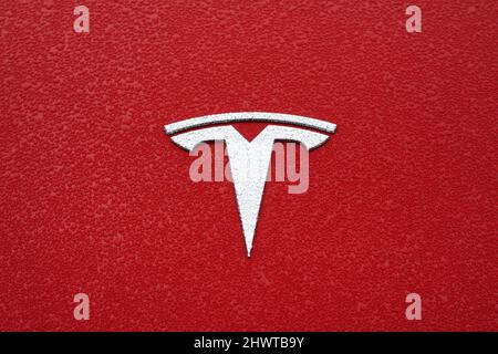 Symbole Tesla à l'avant de la voiture avec rosée du matin sur le capot du véhicule Banque D'Images