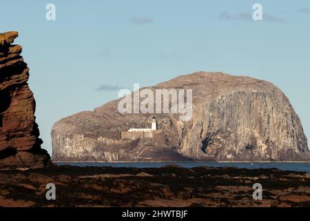 Un gros plan de Bass Rock de Seacliff près de North Berwick Banque D'Images